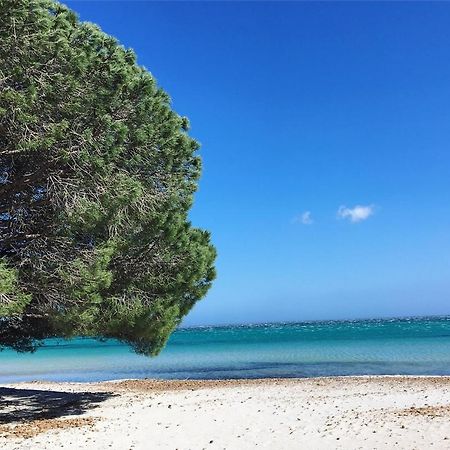 Appartement Proche Des Plus Belles Plages Порто-Векио Екстериор снимка